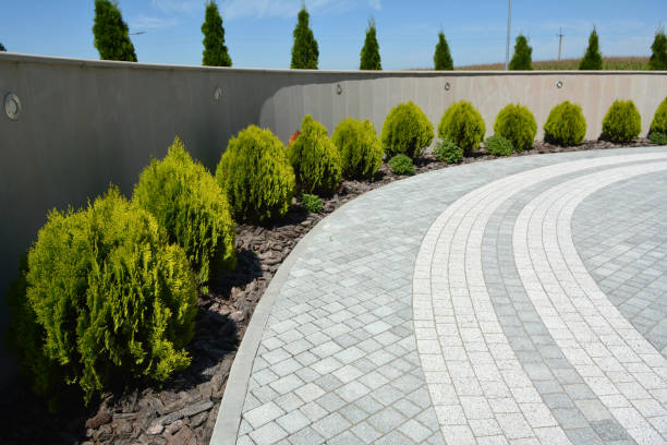 Best Driveway Resurfacing Pavers  in Sonterra, TX